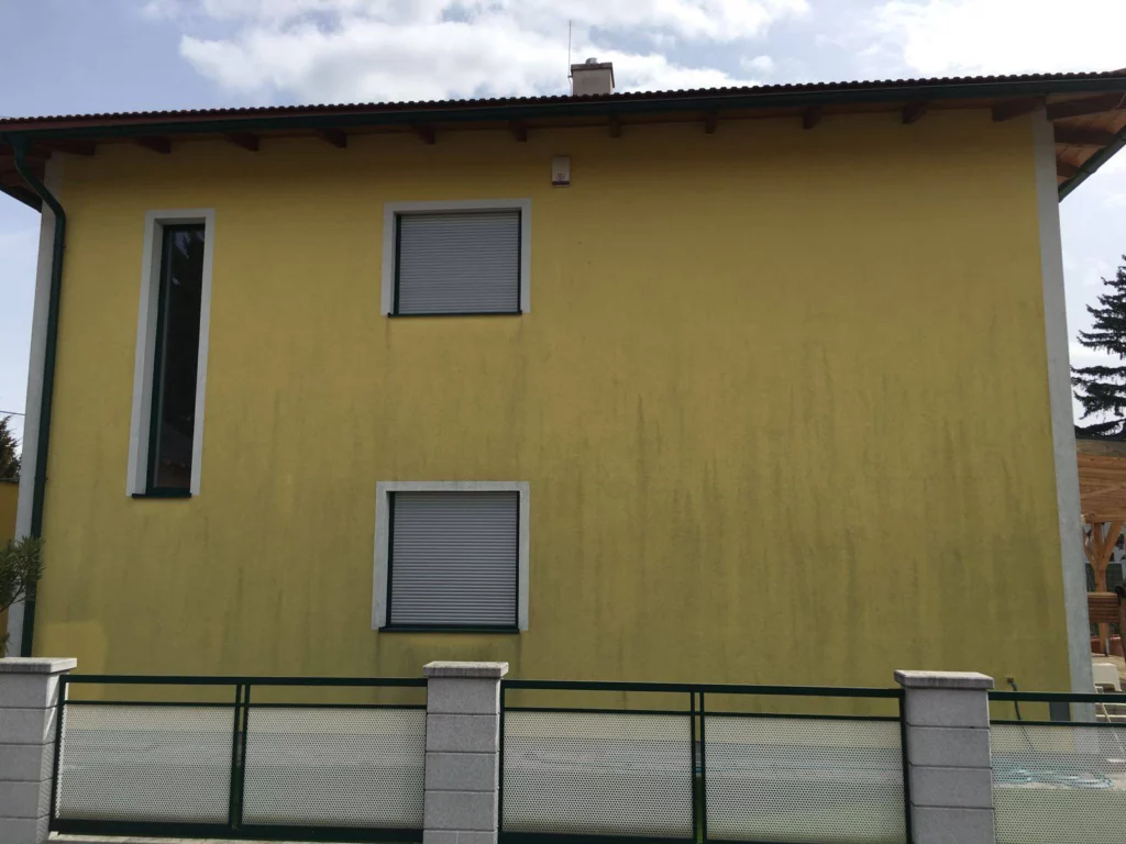 Fassadenreinigung: Foto vor Behandlung von Algenstop